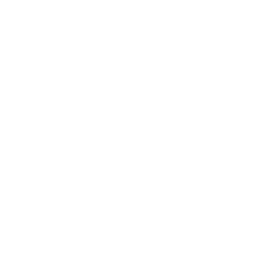 Marca 11